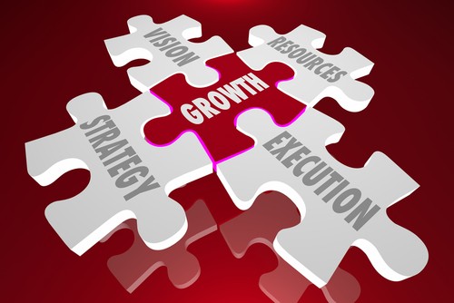 business growth 1