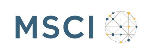 MSCI Risk Metrics
