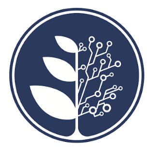 Digital Asset Group