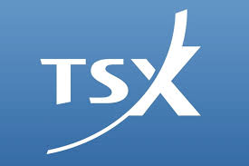 Toronto Stock Exchange (TSX)