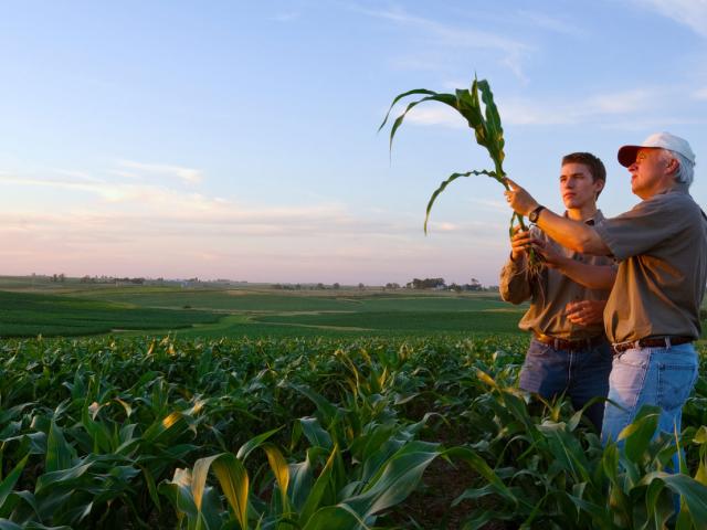 American Agriculture