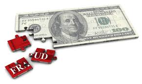 Financial fraud