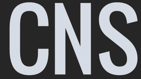 CNS
