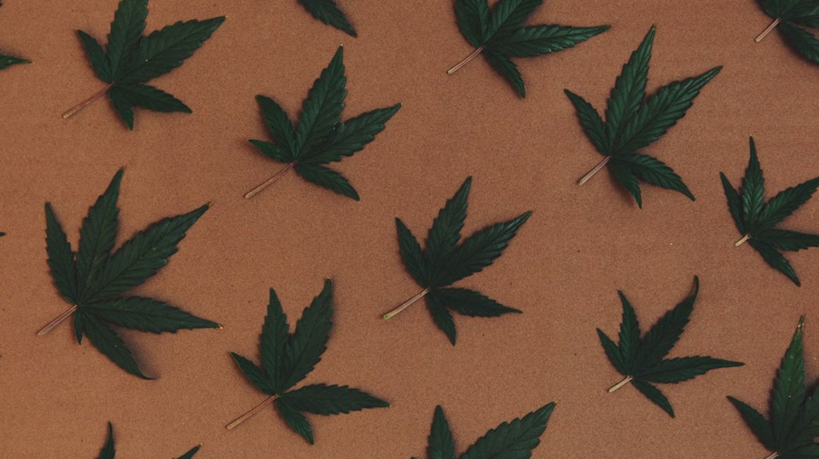 cannabis