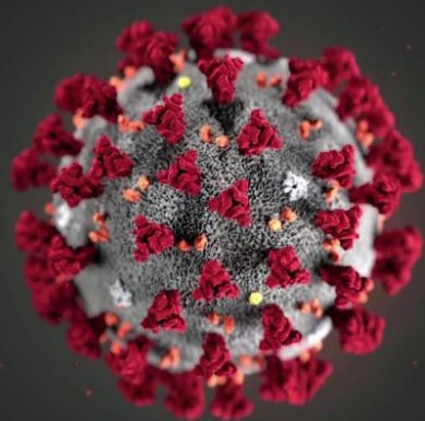 Coronavirus