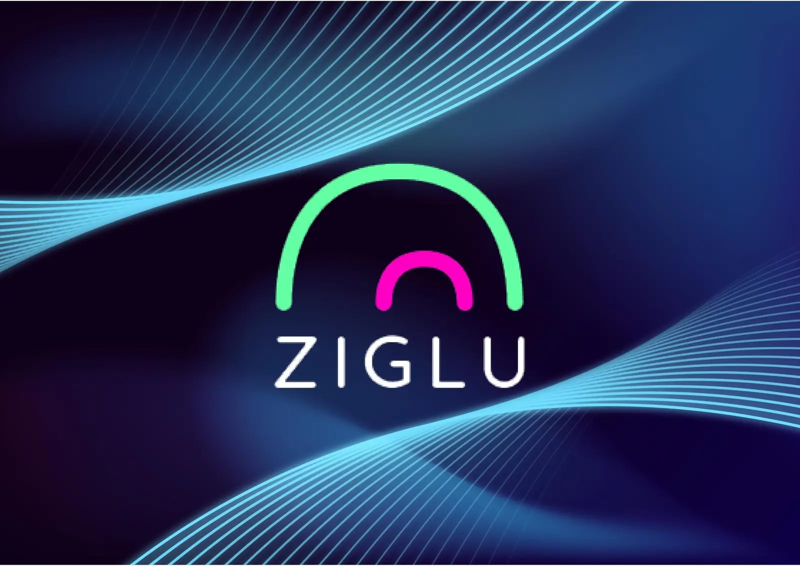 ziglu1 01 scaled 1