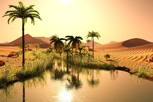 MENA Middle East