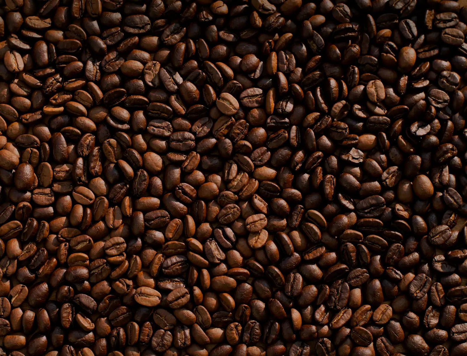 Arabica's path to 250 cents runs through Brazil's record crop