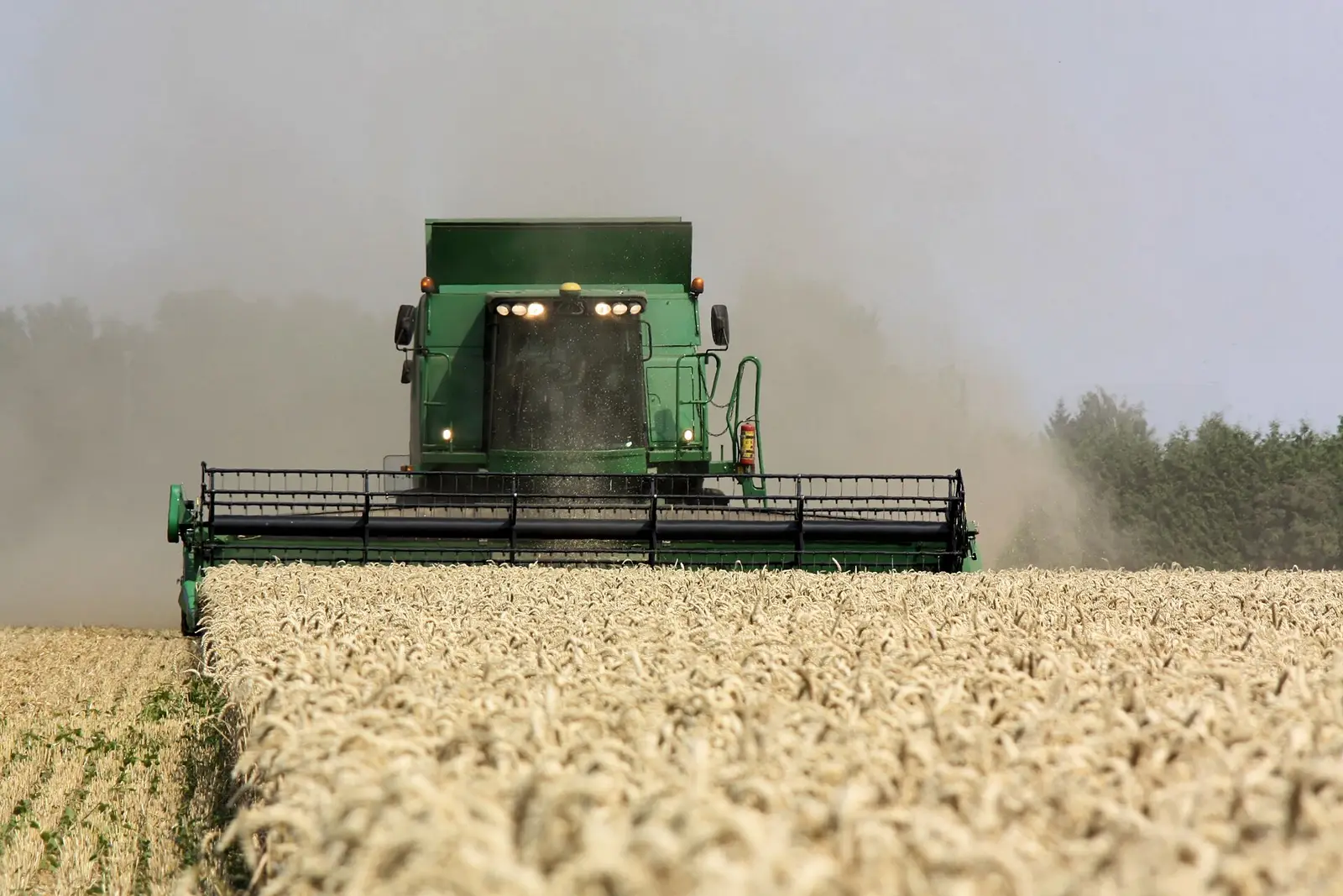 Wheat to $7.60 by year-end 2026: the hard-red-winter case