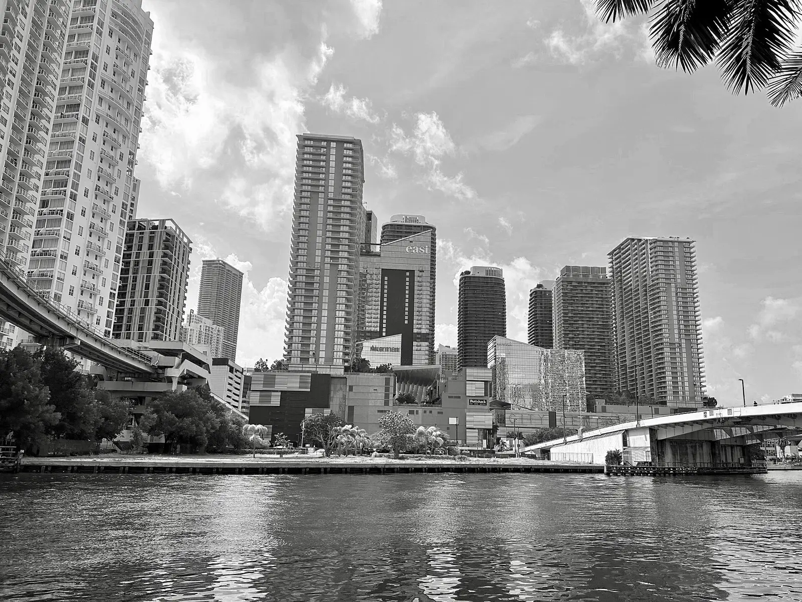 BOB AI Holdings raises $5.5 million seed for AI finance
