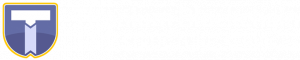 Titanium Blockchain Infrastructure Services Inc.,