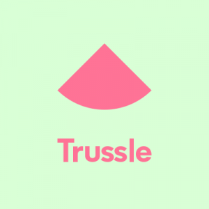 Trussle - Ian Larkin