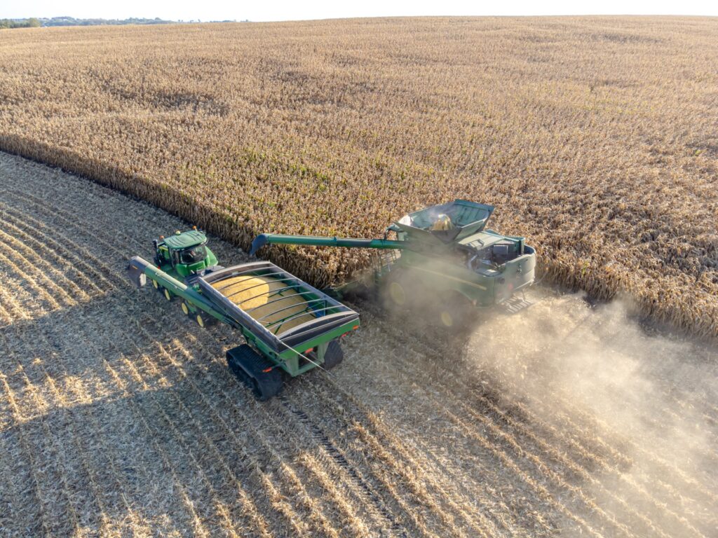 Corn to $4.75 by the December 14 expiry: the crowded-long case